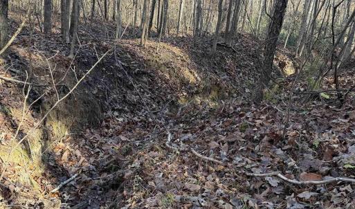 Photo #10 of TBD UNION HILL DR, WINGINA, VA 20.3 acres