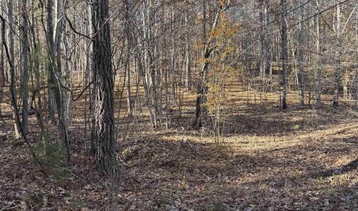 Photo #9 of TBD UNION HILL DR, WINGINA, VA 20.3 acres