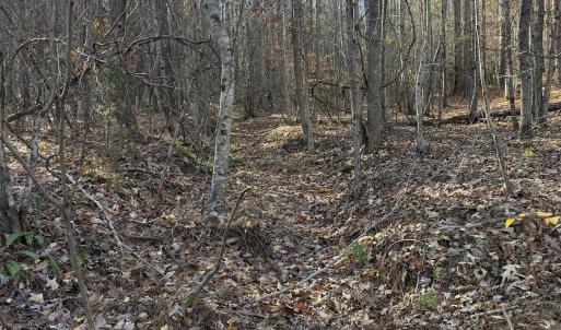 Photo #11 of TBD UNION HILL DR, WINGINA, VA 20.3 acres