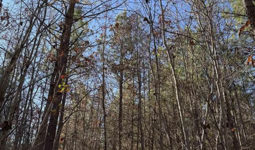 Photo #7 of TBD UNION HILL DR, WINGINA, VA 20.3 acres