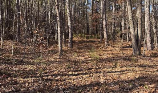 Photo #1 of TBD UNION HILL DR, WINGINA, VA 20.3 acres