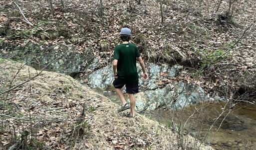 Photo #3 of TBD UNION HILL DR, WINGINA, VA 20.3 acres