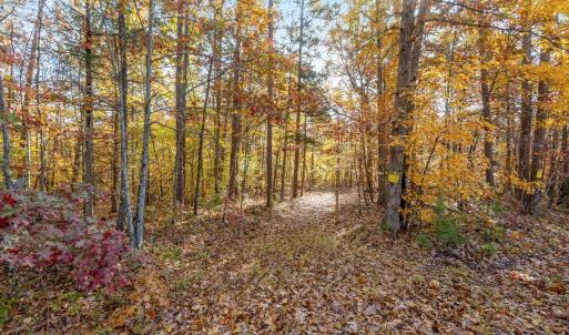 Photo #5 of DELL PERKINS RD, LOUISA, VA 3.0 acres