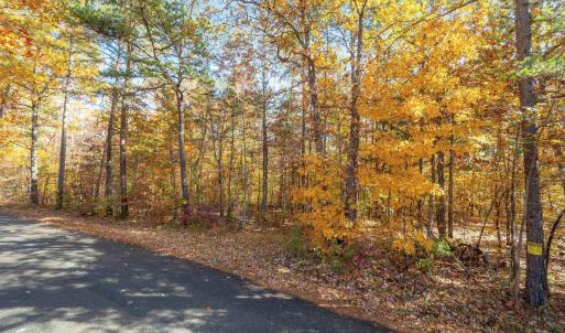 Photo #9 of DELL PERKINS RD, LOUISA, VA 3.0 acres