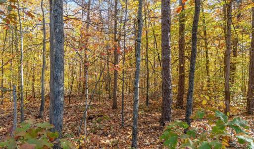 Photo #7 of DELL PERKINS RD, LOUISA, VA 3.0 acres