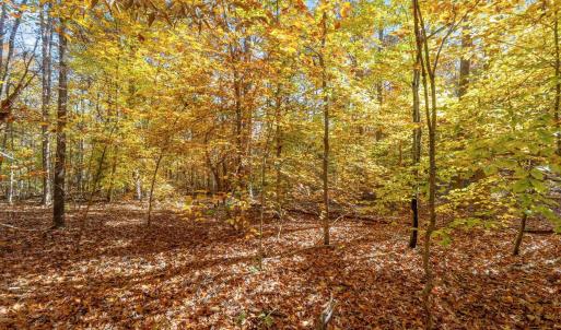 Photo #8 of DELL PERKINS RD, LOUISA, VA 3.0 acres