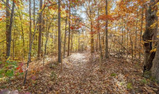 Photo #6 of DELL PERKINS RD, LOUISA, VA 3.0 acres