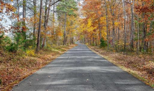 Photo #6 of Lot 5 COLES ROLLING RD, SCOTTSVILLE, VA 21.0 acres