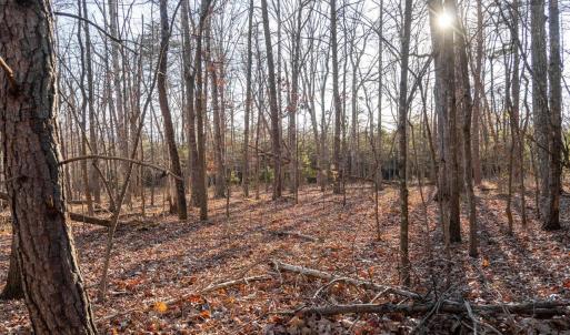 Photo #1 of WOODLAND DR, LURAY, VA 1.6 acres