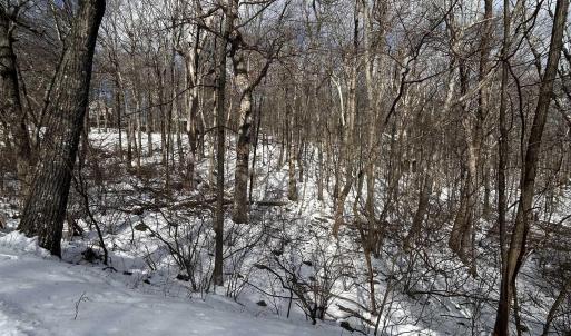 Photo #3 of 25 POLL AXE LN, WINTERGREEN RESORT, VA 0.4 acres