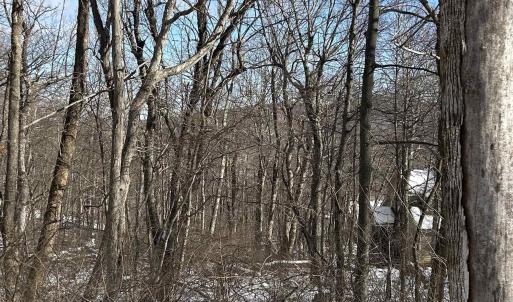 Photo #4 of 25 POLL AXE LN, WINTERGREEN RESORT, VA 0.4 acres