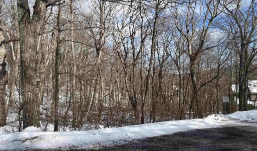 Photo #2 of 25 POLL AXE LN, WINTERGREEN RESORT, VA 0.4 acres