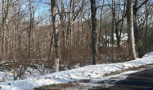 Photo #3 of 25 POLL AXE LN, WINTERGREEN RESORT, VA 0.4 acres
