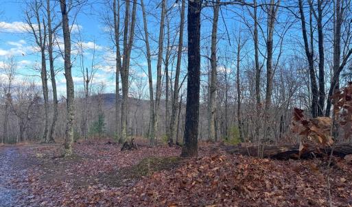 Photo #13 of TBD JOHNSON HOLLOW, SCHUYLER, VA 473.3 acres