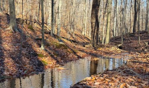 Photo #32 of TBD JOHNSON HOLLOW, SCHUYLER, VA 473.3 acres