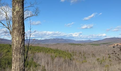 Photo #35 of TBD JOHNSON HOLLOW, SCHUYLER, VA 473.3 acres