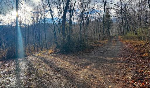 Photo #6 of TBD JOHNSON HOLLOW, SCHUYLER, VA 473.3 acres