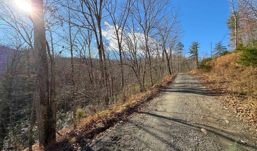 Photo #27 of TBD JOHNSON HOLLOW, SCHUYLER, VA 473.3 acres