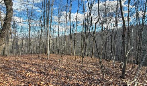 Photo #24 of TBD JOHNSON HOLLOW, SCHUYLER, VA 473.3 acres