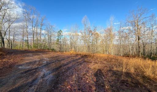 Photo #10 of TBD JOHNSON HOLLOW, SCHUYLER, VA 473.3 acres