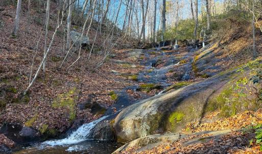 Photo #8 of TBD JOHNSON HOLLOW, SCHUYLER, VA 473.3 acres