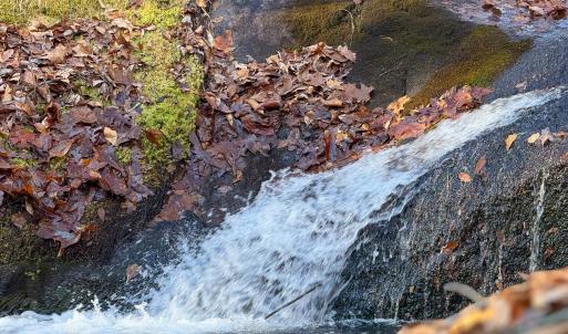 Photo #9 of TBD JOHNSON HOLLOW, SCHUYLER, VA 473.3 acres