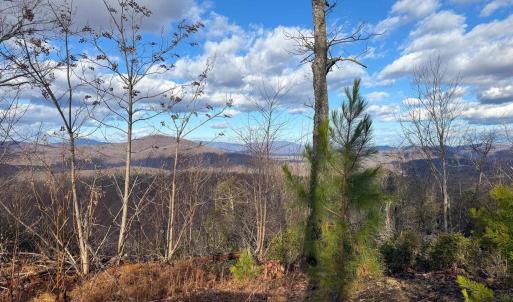 Photo #20 of TBD JOHNSON HOLLOW, SCHUYLER, VA 473.3 acres