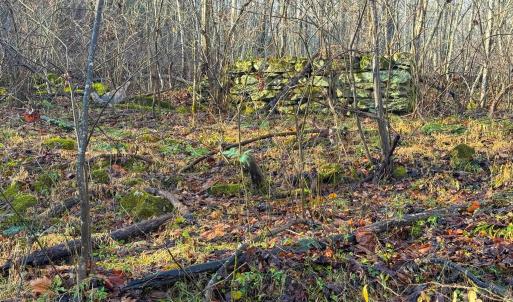 Photo #5 of TBD JOHNSON HOLLOW, SCHUYLER, VA 473.3 acres