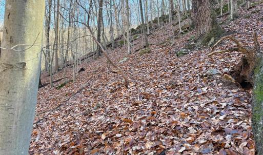 Photo #30 of TBD JOHNSON HOLLOW, SCHUYLER, VA 473.3 acres