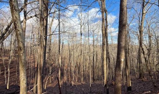 Photo #25 of TBD JOHNSON HOLLOW, SCHUYLER, VA 473.3 acres