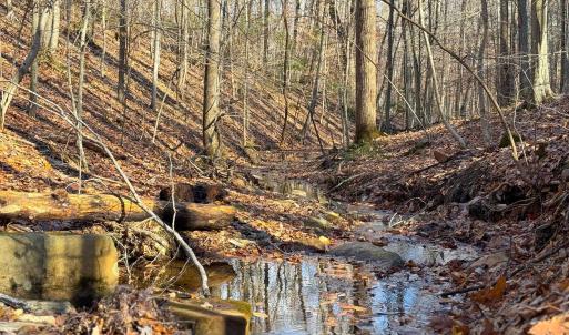 Photo #28 of TBD JOHNSON HOLLOW, SCHUYLER, VA 473.3 acres
