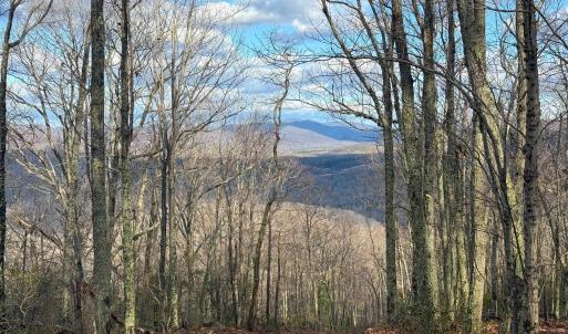 Photo #18 of TBD JOHNSON HOLLOW, SCHUYLER, VA 473.3 acres