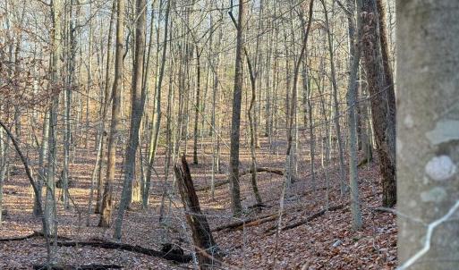 Photo #30 of TBD JOHNSON HOLLOW, SCHUYLER, VA 473.3 acres