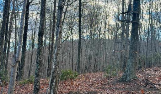 Photo #14 of TBD JOHNSON HOLLOW, SCHUYLER, VA 473.3 acres
