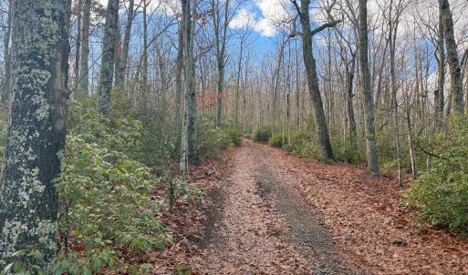 Photo #15 of TBD JOHNSON HOLLOW, SCHUYLER, VA 473.3 acres