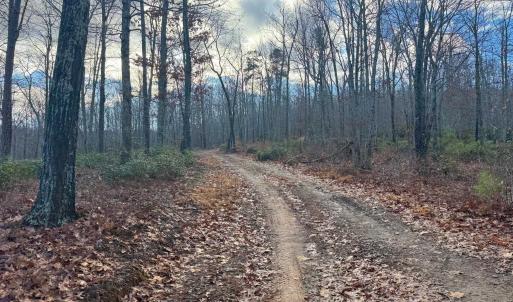 Photo #13 of TBD JOHNSON HOLLOW, SCHUYLER, VA 473.3 acres