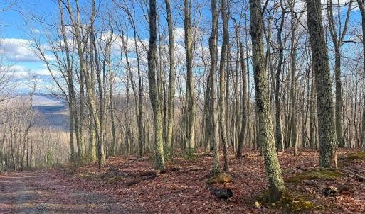 Photo #16 of TBD JOHNSON HOLLOW, SCHUYLER, VA 473.3 acres