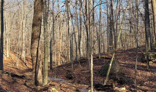 Photo #33 of TBD JOHNSON HOLLOW, SCHUYLER, VA 473.3 acres