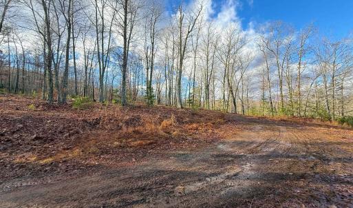 Photo #10 of TBD JOHNSON HOLLOW, SCHUYLER, VA 473.3 acres
