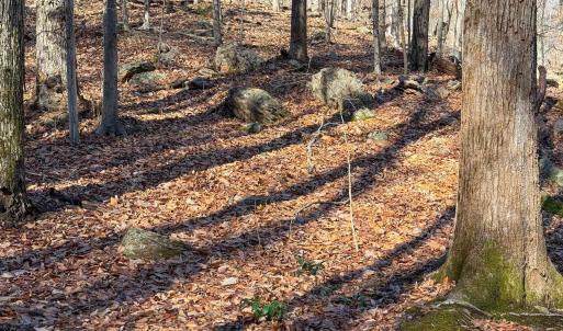 Photo #32 of TBD JOHNSON HOLLOW, SCHUYLER, VA 473.3 acres
