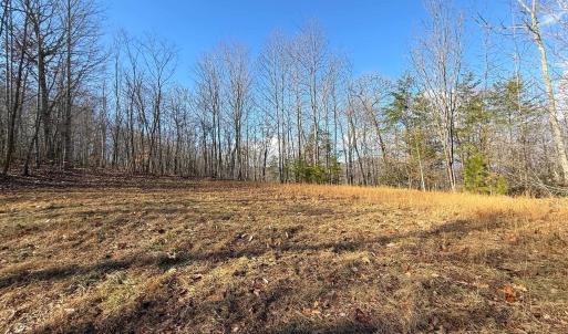 Photo #27 of TBD JOHNSON HOLLOW, SCHUYLER, VA 473.3 acres