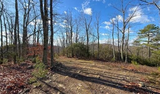 Photo #21 of TBD JOHNSON HOLLOW, SCHUYLER, VA 473.3 acres