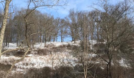 Photo #6 of 1004 JACKSON RIVER TPKE, MONTEREY, VA 21.2 acres