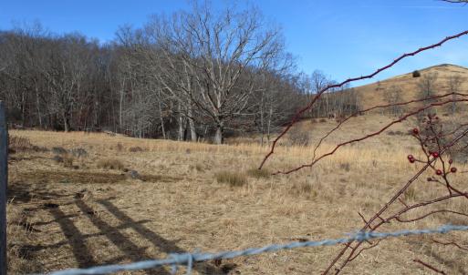 Photo #5 of 1004 JACKSON RIVER TPKE, MONTEREY, VA 21.2 acres