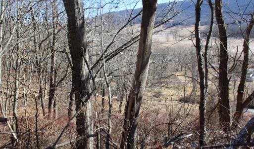 Photo #10 of 1004 JACKSON RIVER TPKE, MONTEREY, VA 21.2 acres