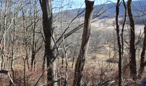 Photo #3 of 1004 JACKSON RIVER TPKE, MONTEREY, VA 21.2 acres