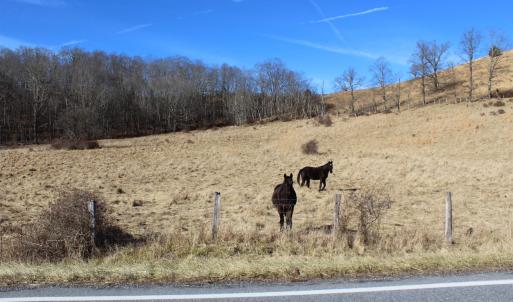 Photo #2 of 1004 JACKSON RIVER TPKE, MONTEREY, VA 21.2 acres