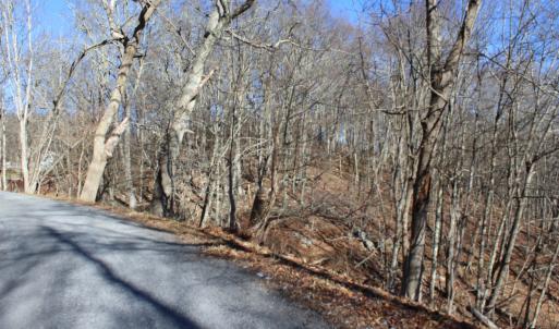 Photo #9 of 1004 JACKSON RIVER TPKE, MONTEREY, VA 21.2 acres