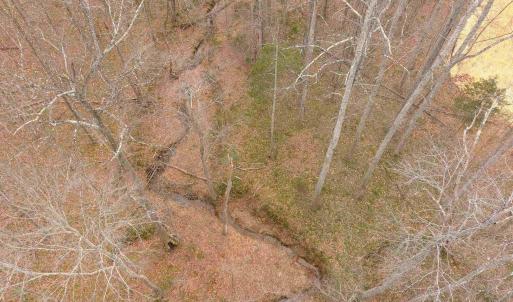 Photo #6 of Lot 5 SIENNA LN, EARLYSVILLE, VA 11.8 acres