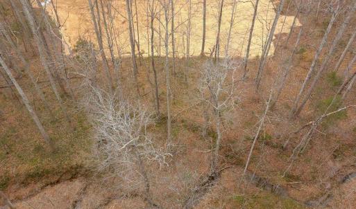 Photo #7 of Lot 5 SIENNA LN, EARLYSVILLE, VA 11.8 acres